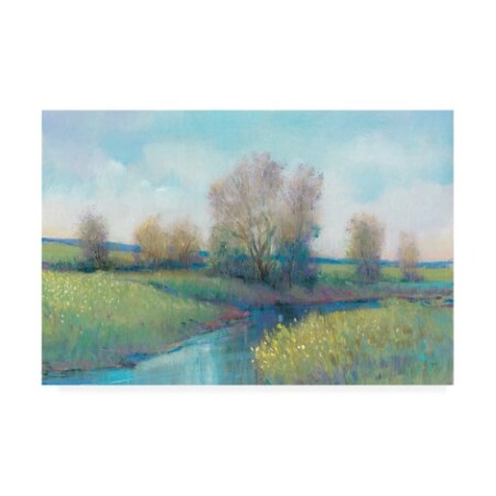 Trademark Fine Art Tim OToole 'Hidden Stream I' Canvas Art, 12x19 WAG14479-C1219GG